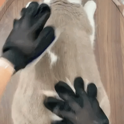 2x Luva Mágica de Limpeza Animal™
