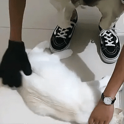 2x Luva Mágica de Limpeza Animal™