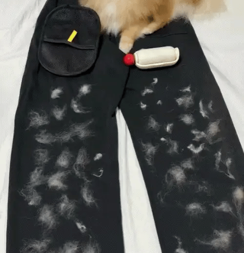 A Luva Mágica™ - Compre 1 Leve 1 Grátis